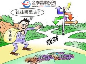深圳市金泰昌順投資管理 聚焦四大投資主線，驅動價值成長新篇章